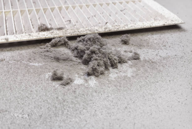 Air Duct Mold Removal in WI