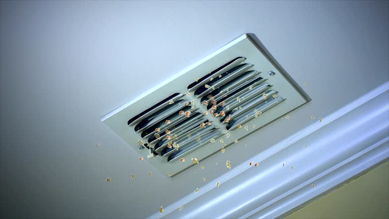 Best Affordable Air Duct Cleaning  in Sheboygan Falls, WI